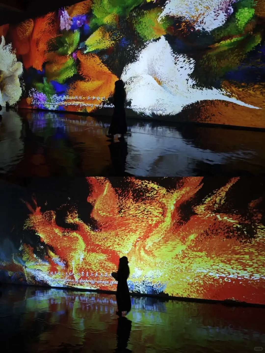 深圳新展·不可错过的视觉盛宴·酷炫震撼!