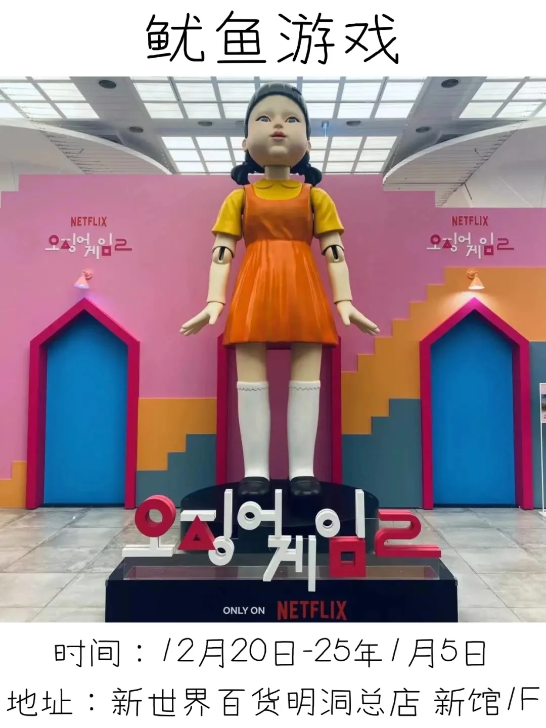 ??25年1月快闪合集✨