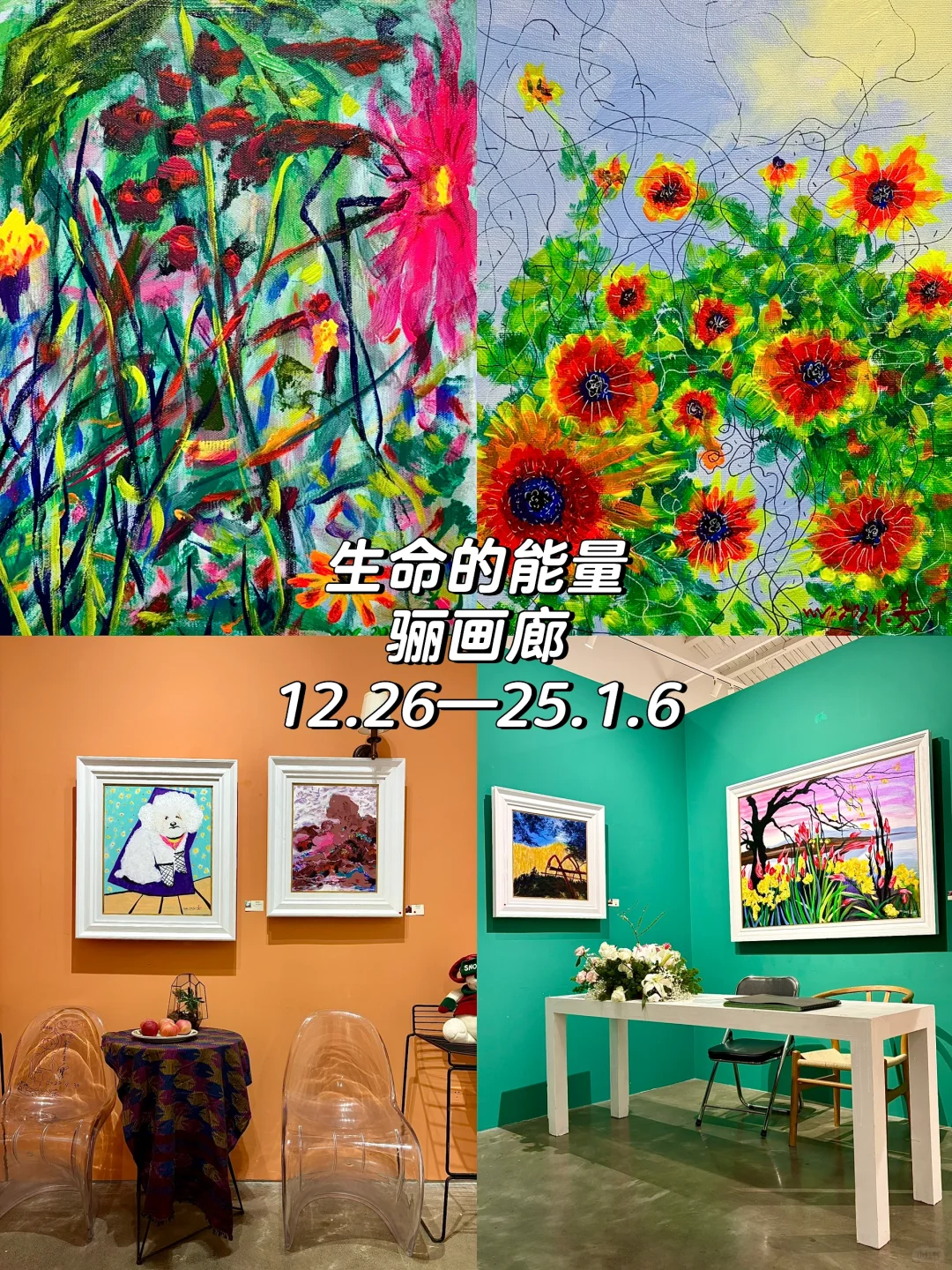 798艺术区1月免费展更新❗️全实拍,附地图?