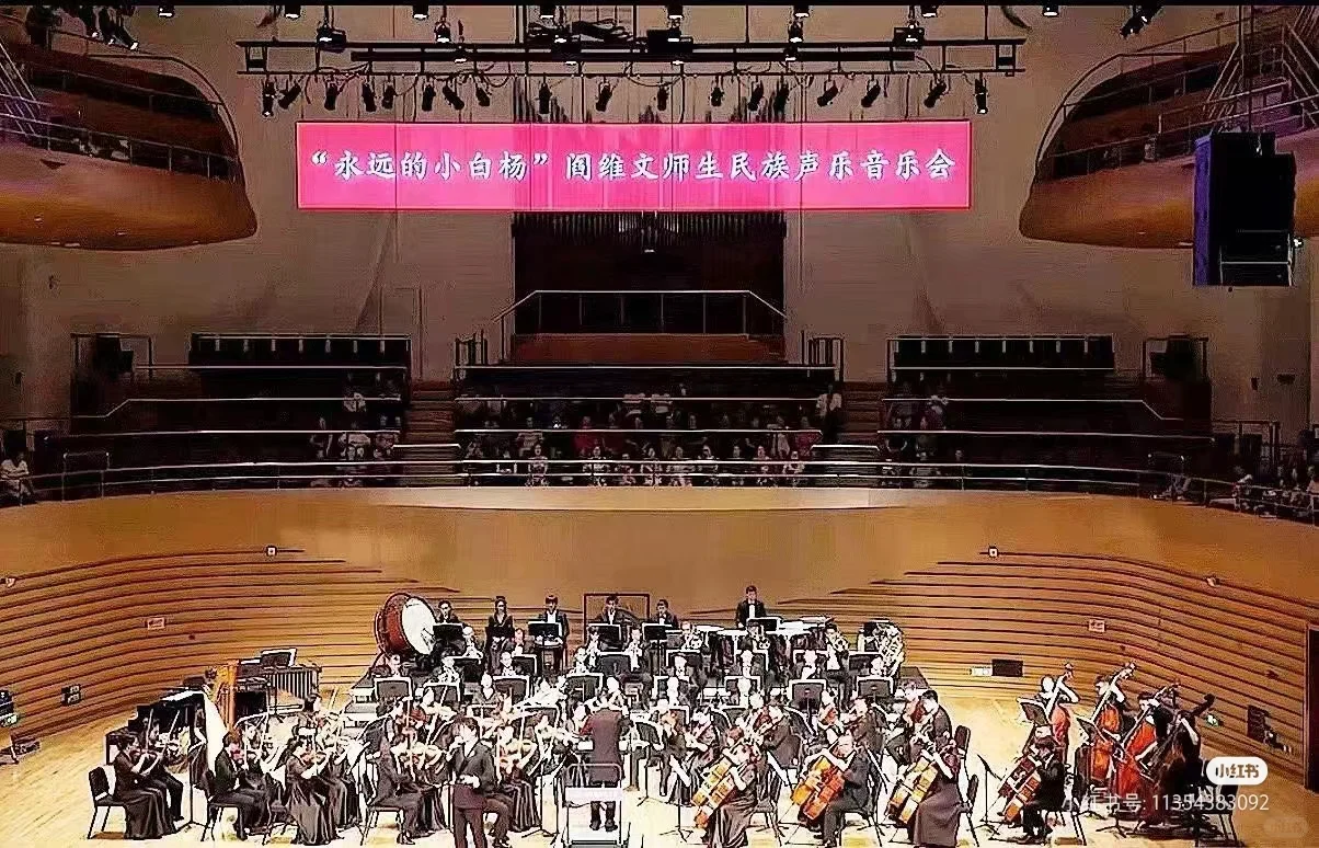 乌鲁木齐会展片区小提琴招生