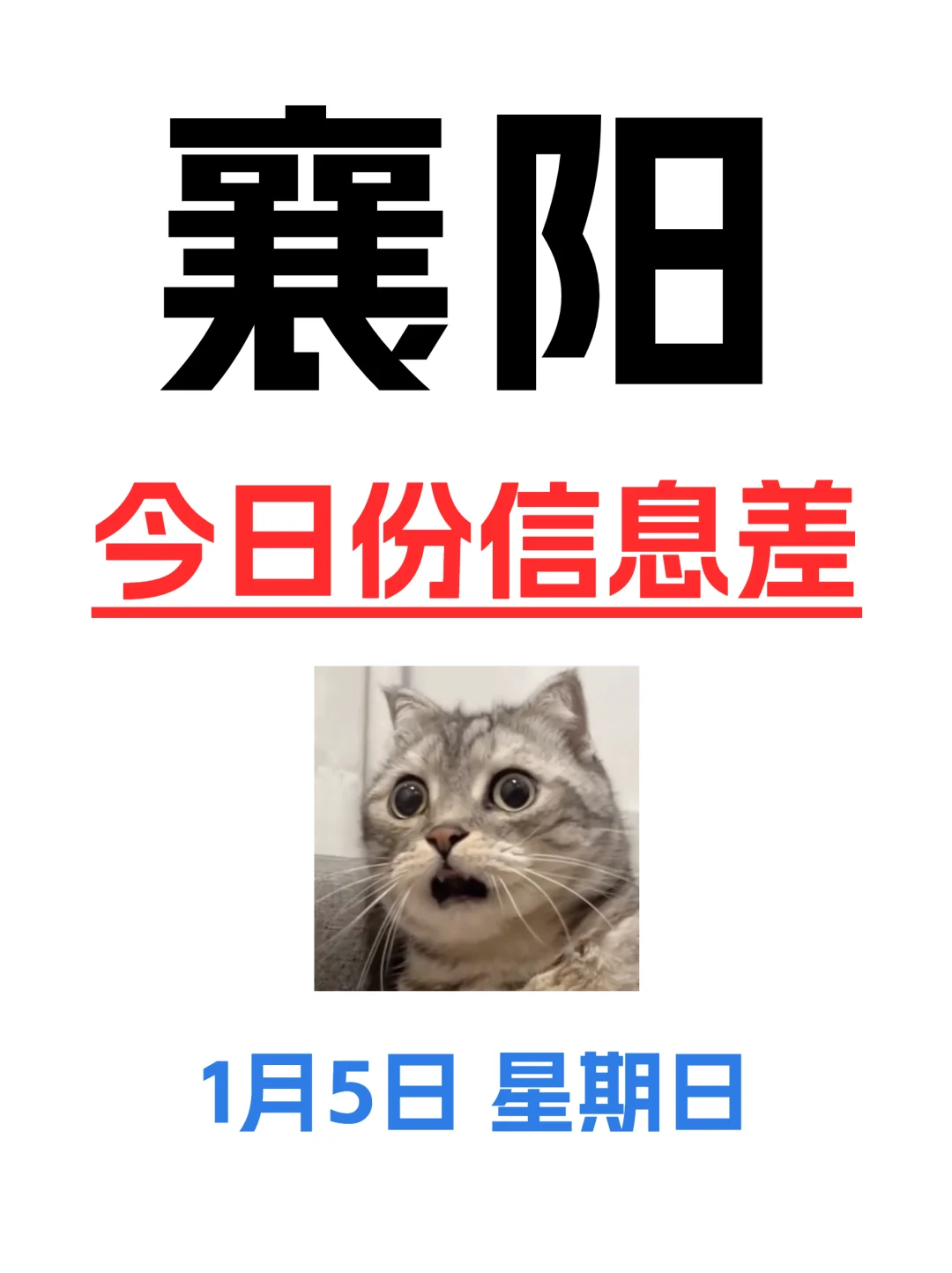 今日襄阳信息差已更新！1月5！