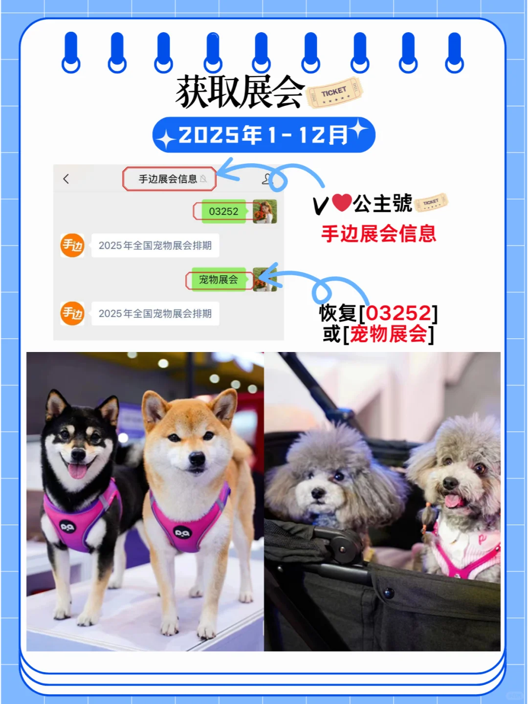 2025年全国宠物展会时间排期及详细信息汇总