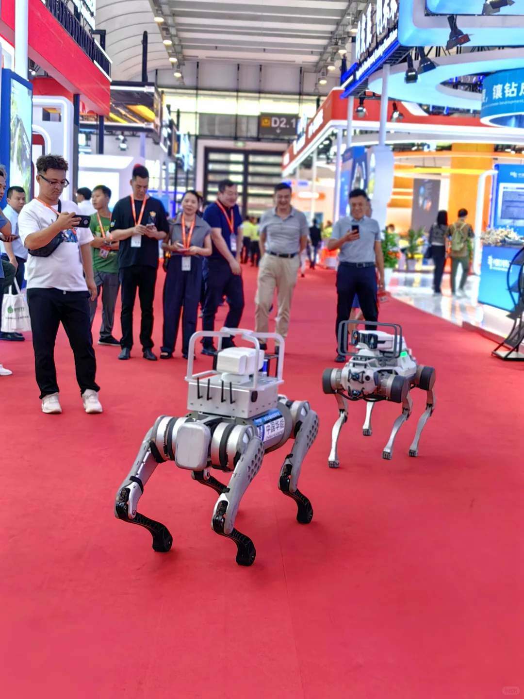 东盟博览会里有什么