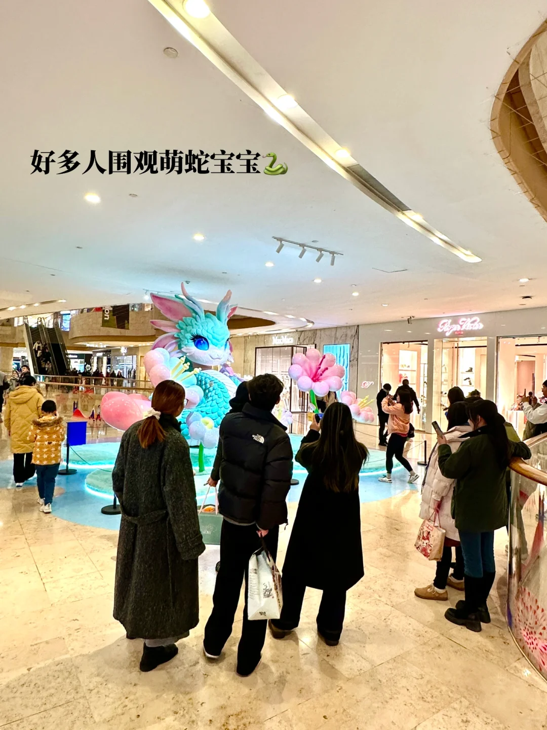 1.5实拍?南京蛇宝宝?放在全国都没对手。。。