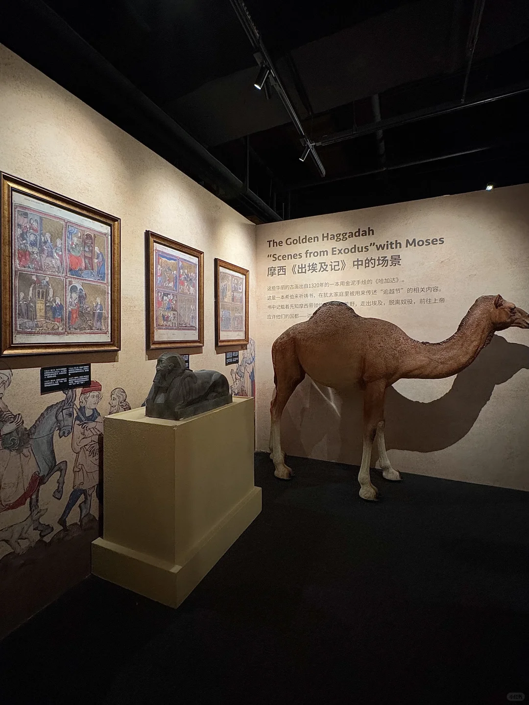 天津新展！！见世面了?……