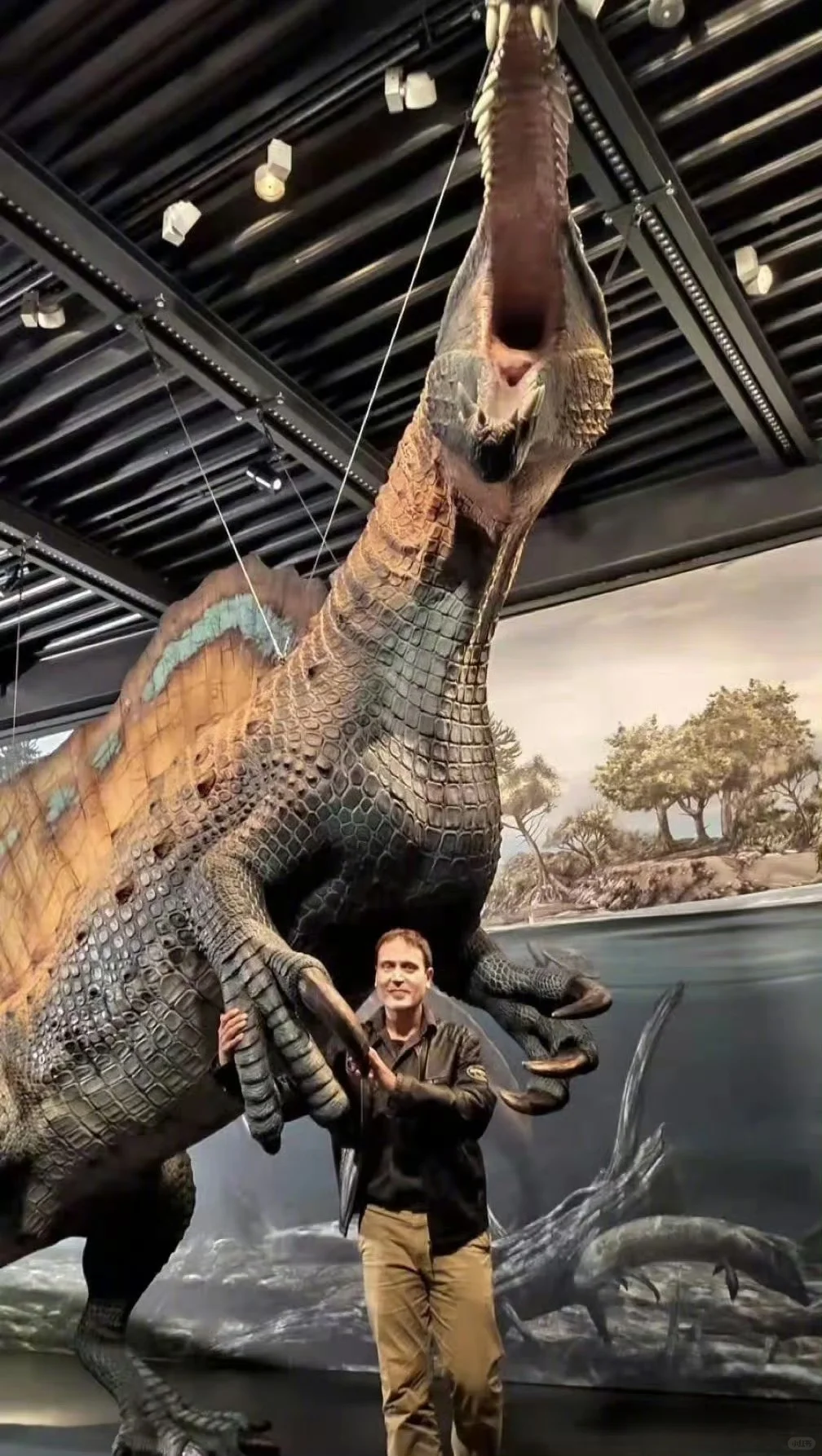 可能是目前已知最长的食肉恐龙--棘龙