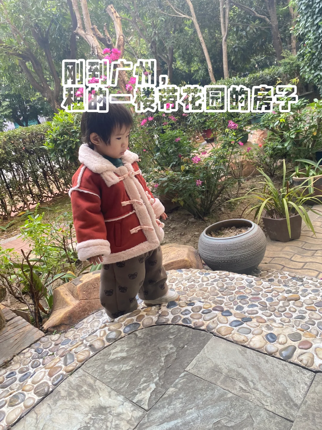 广州回武汉两年后又带全家回到了广州