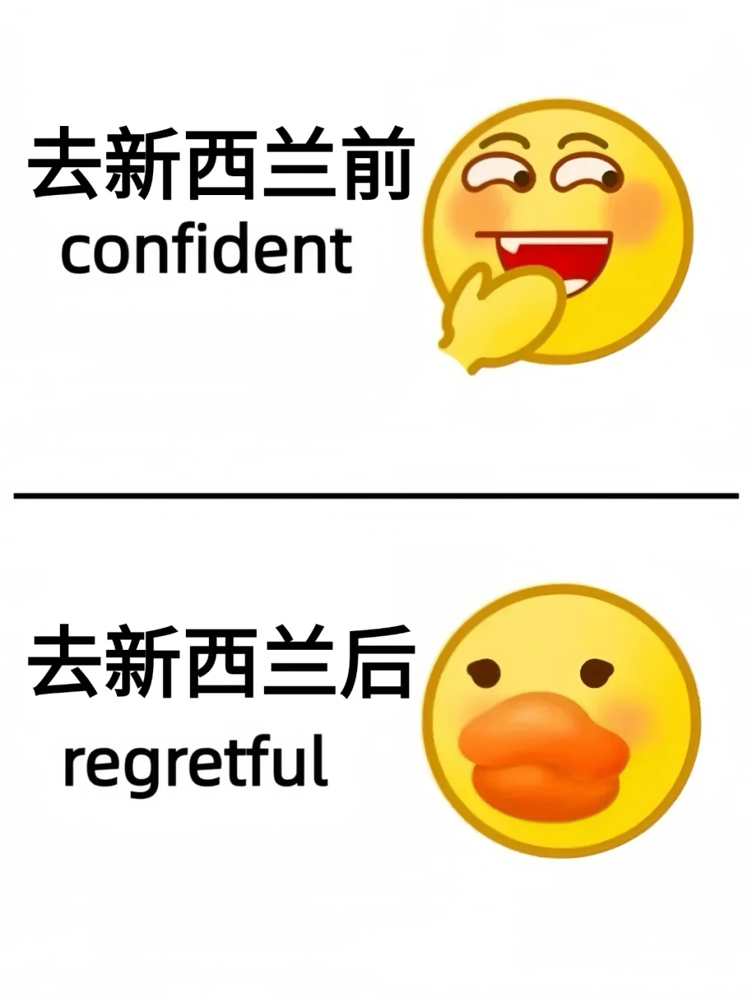 愿每一个去新西兰的人都能刷到这篇?