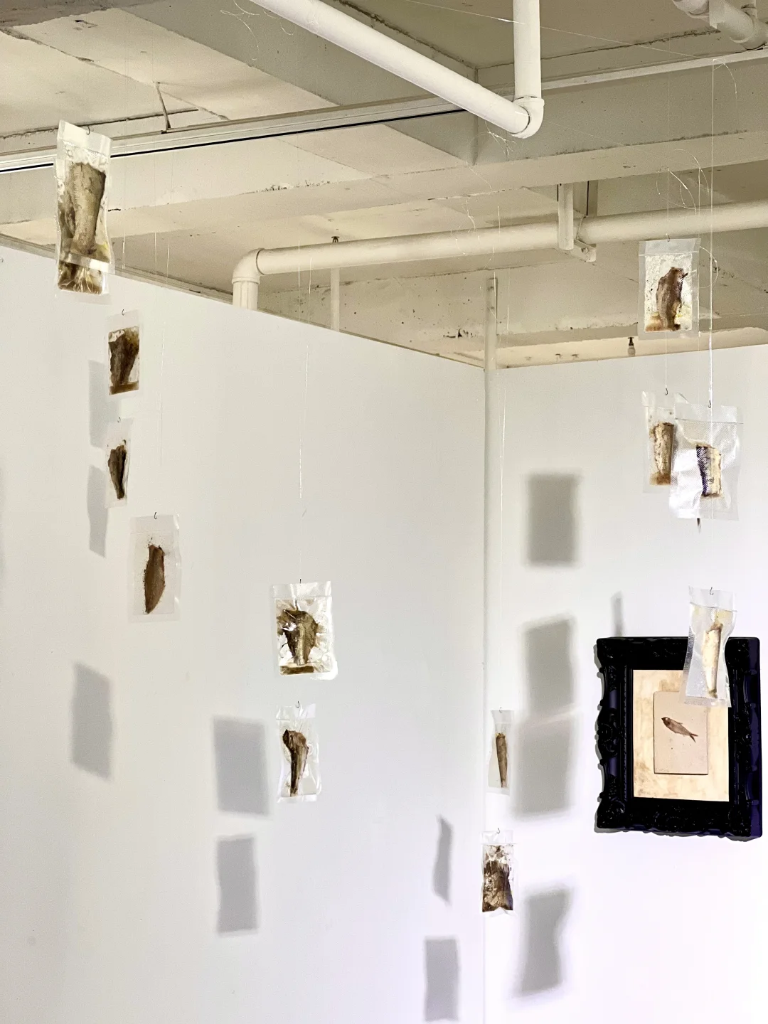 错过等一年｜2024青岛国际艺术年展