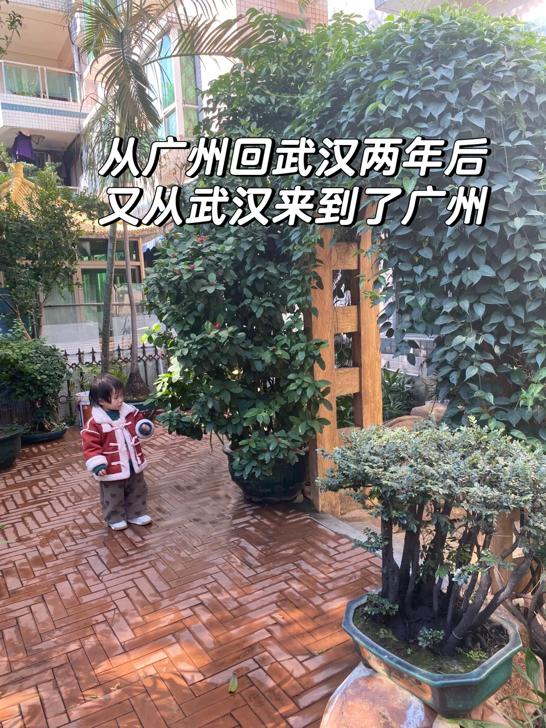 广州回武汉两年后又带全家回到了广州