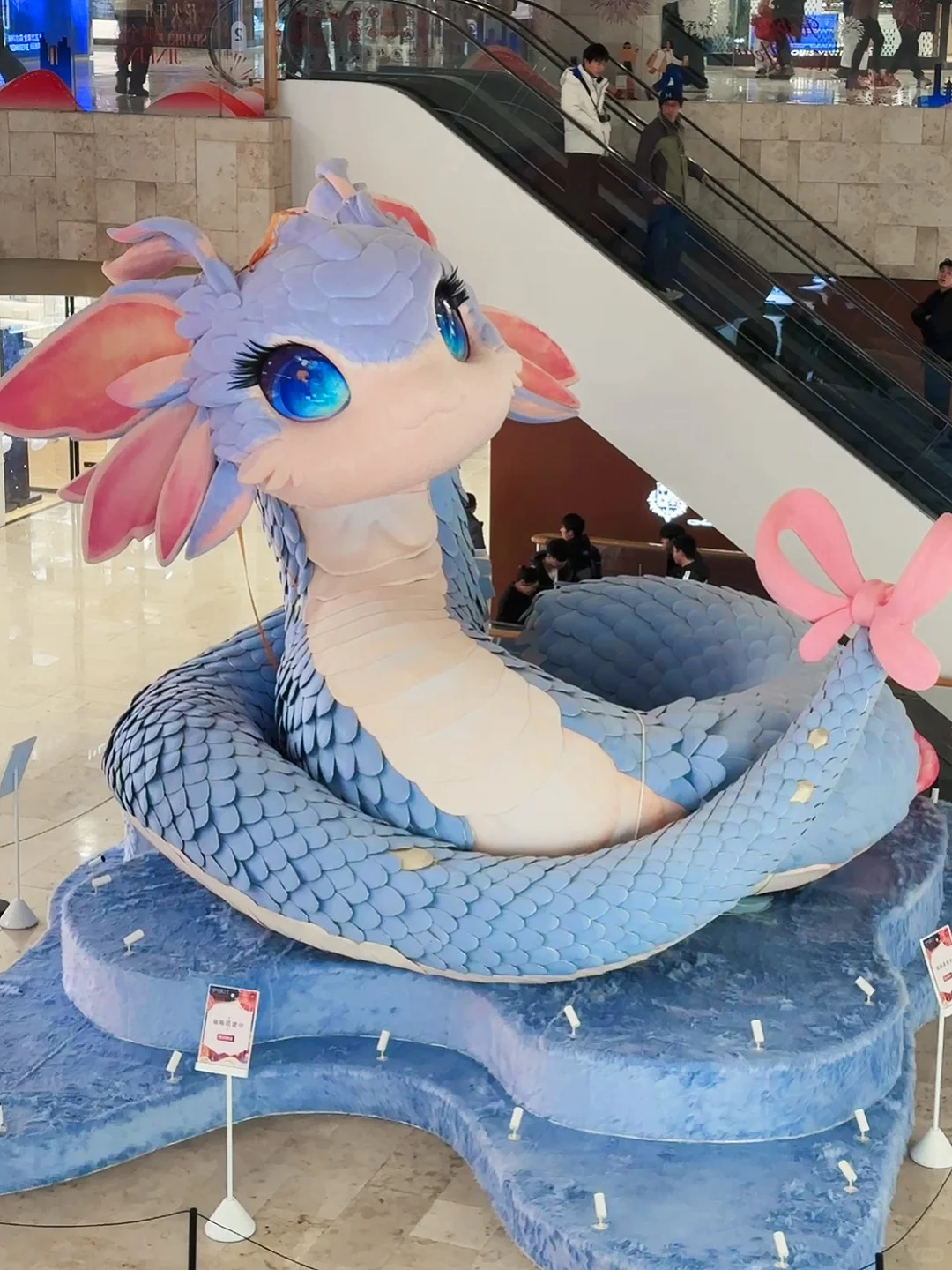 1.5实拍?南京蛇宝宝?放在全国都没对手。。。