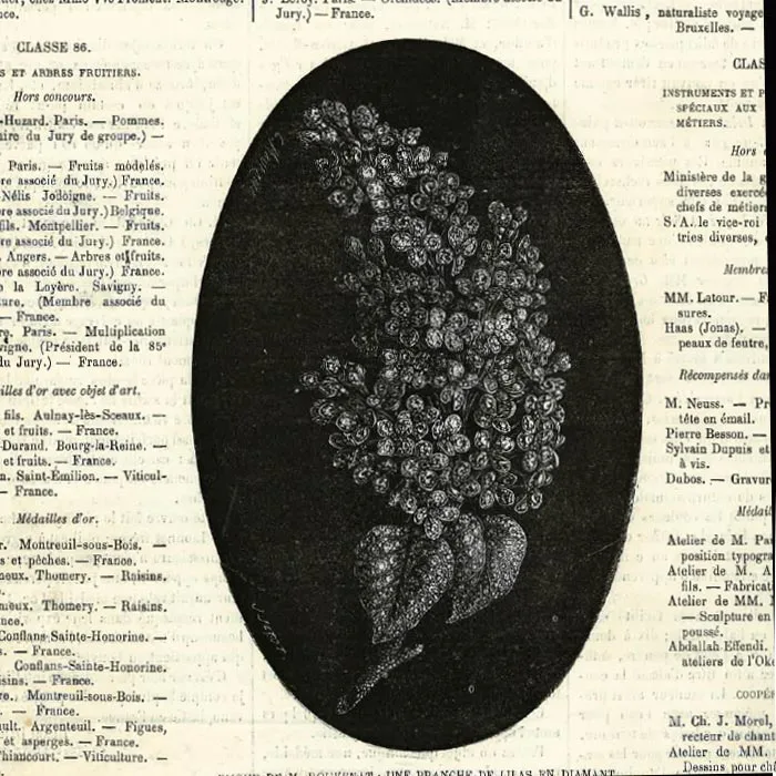 ?️工业革命下的古典复辟?️珠宝商的诞生