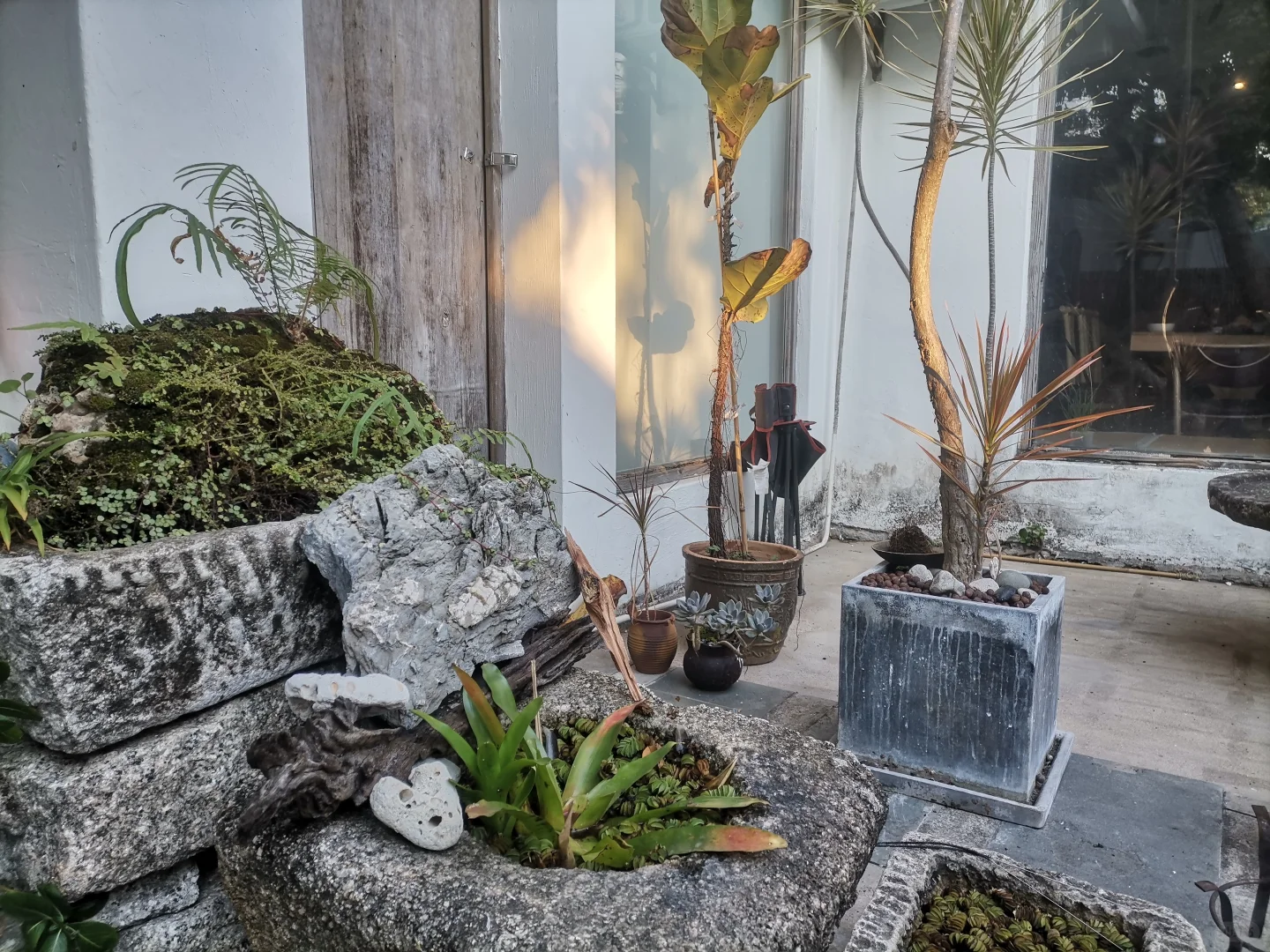 不像大鹏所城民宿的九澍 转型民宿+