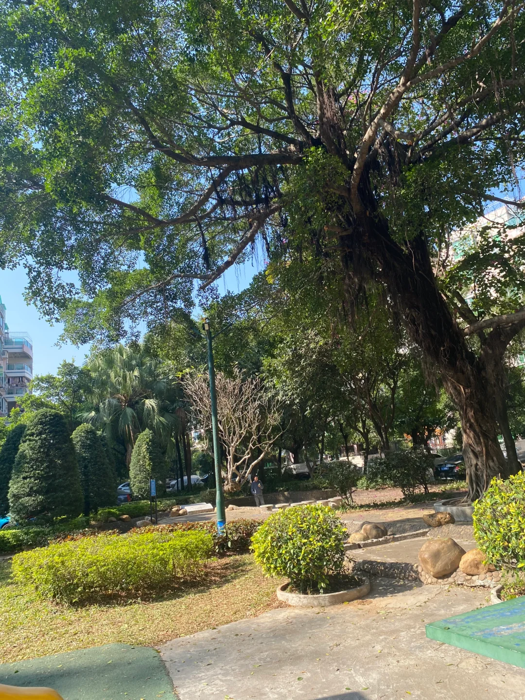 广州回武汉两年后又带全家回到了广州