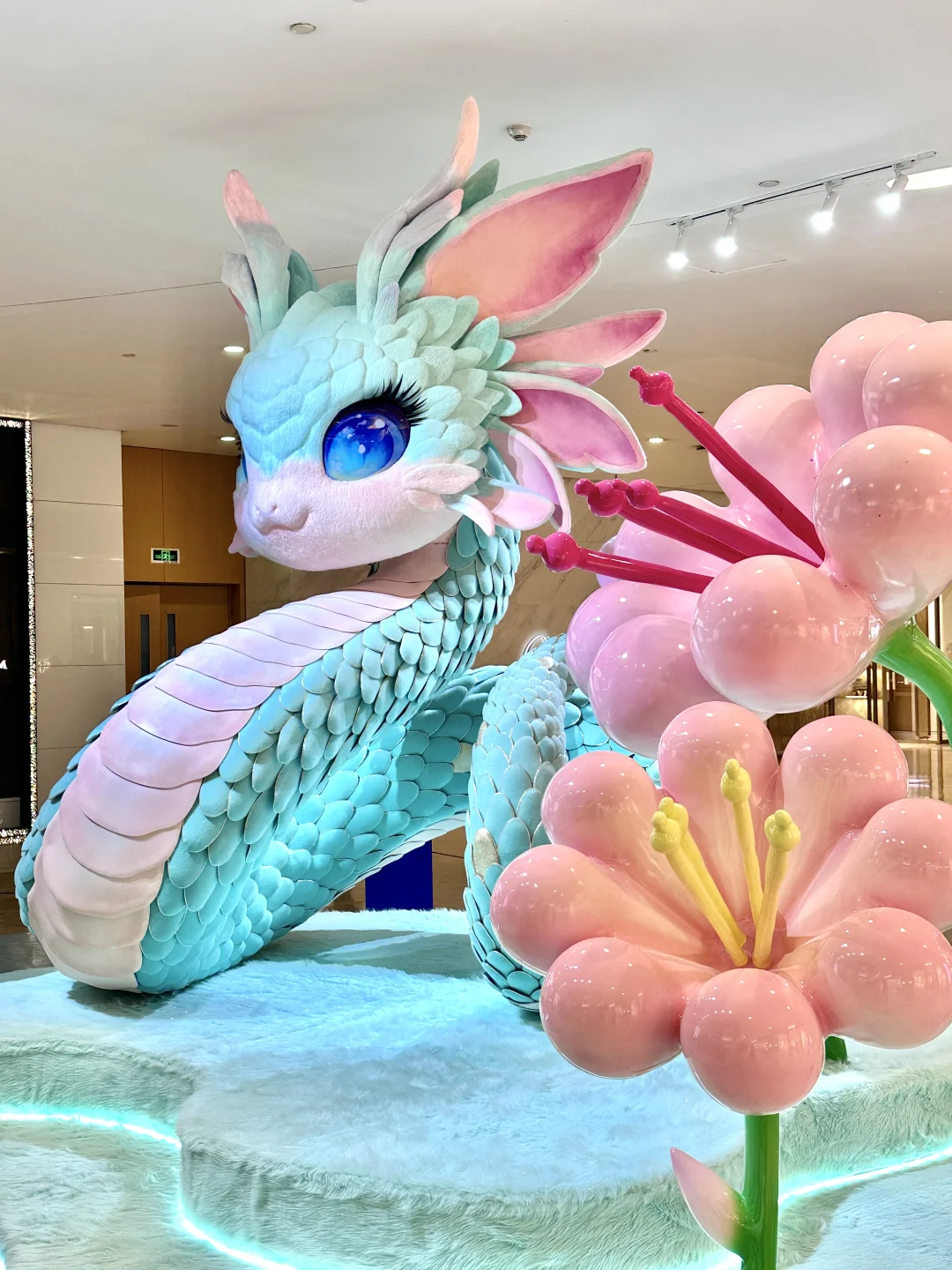 1.5实拍?南京蛇宝宝?放在全国都没对手。。。