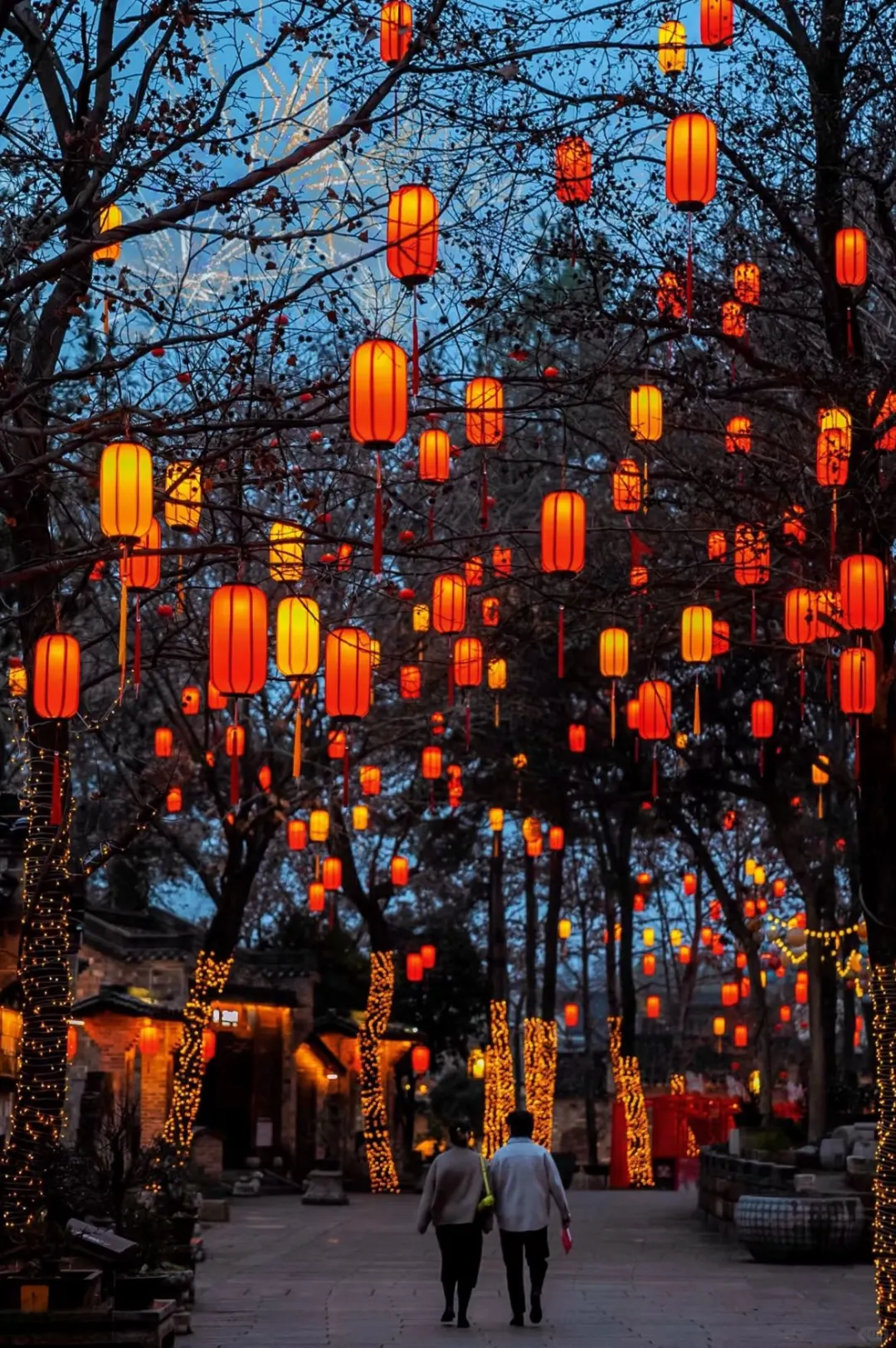 ?巴塞2025喜迎中国年丨最全活动来了?