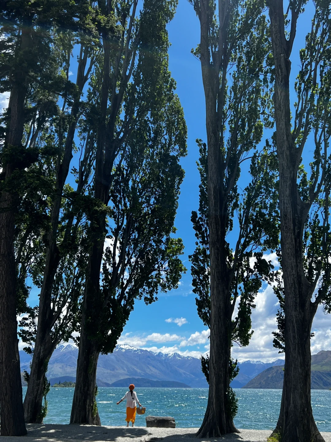 被新西兰治愈过的瞬间～这才是live图的意义