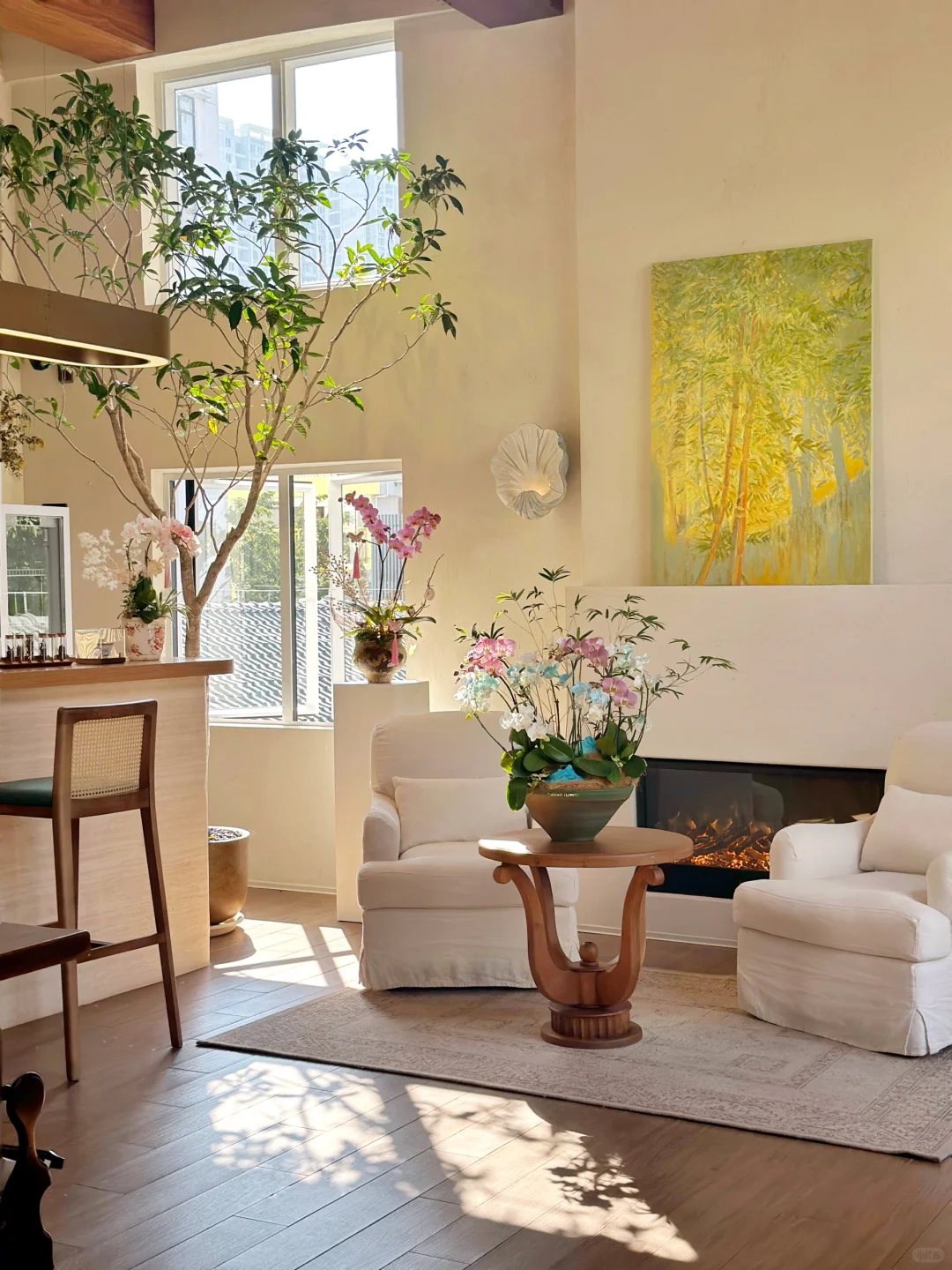 办一场蝴蝶兰展