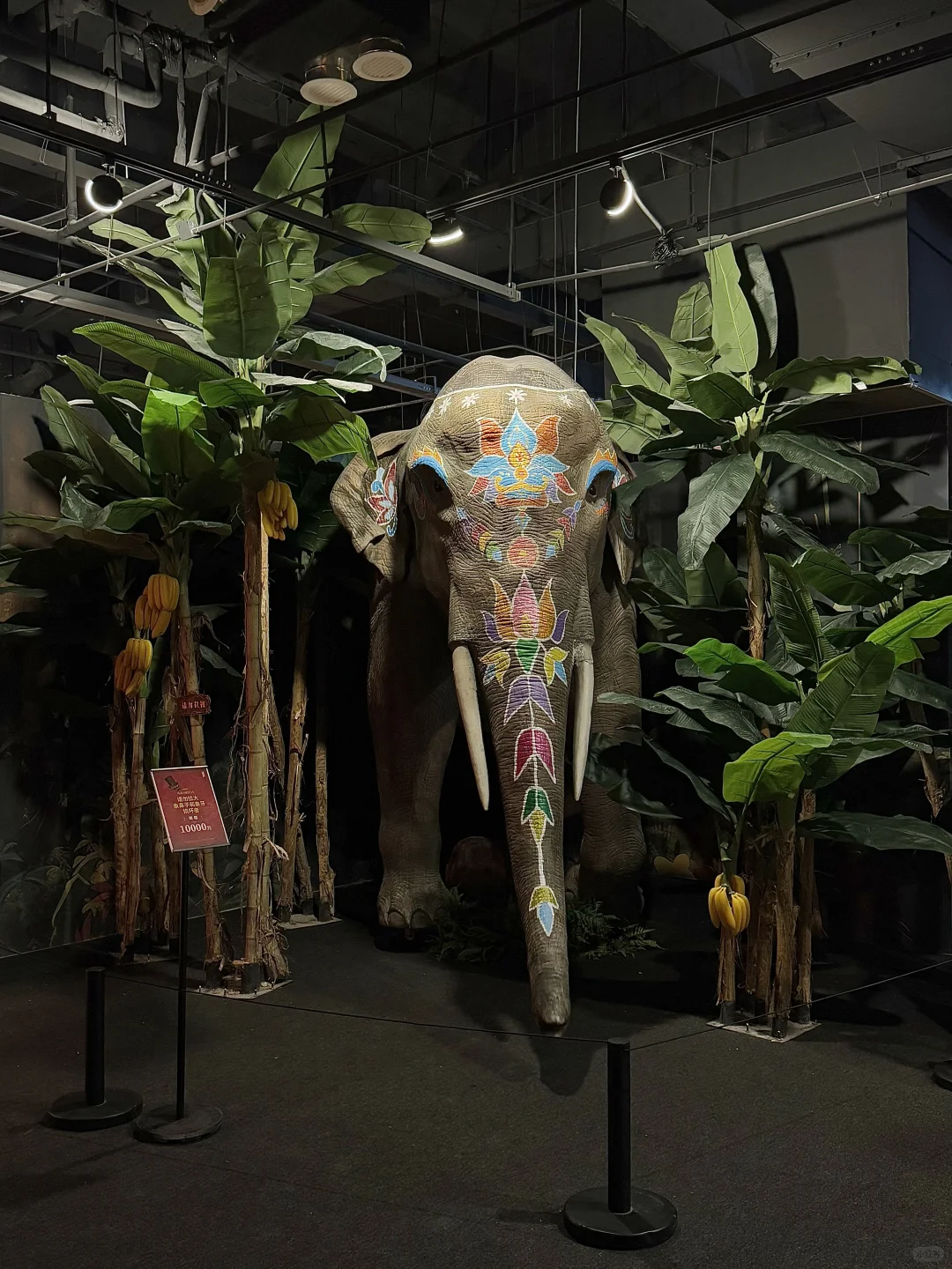 天津新展！！见世面了?……