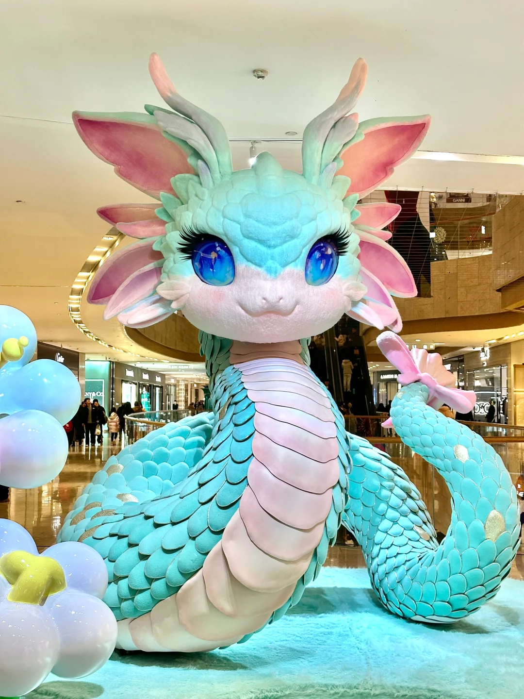 1.5实拍?南京蛇宝宝?放在全国都没对手。。。