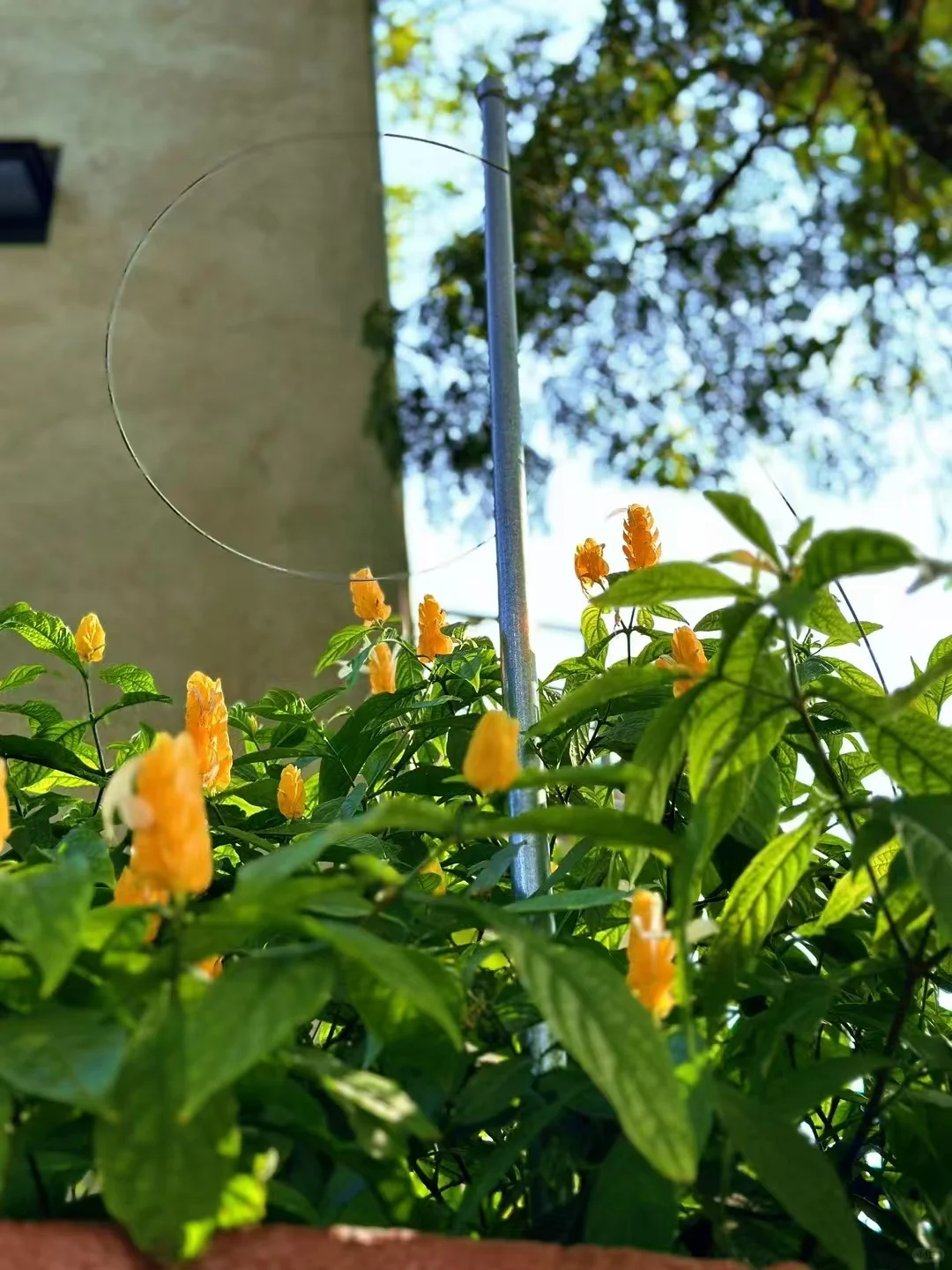 2025年德国杜塞尔多夫国际医院设备展览会