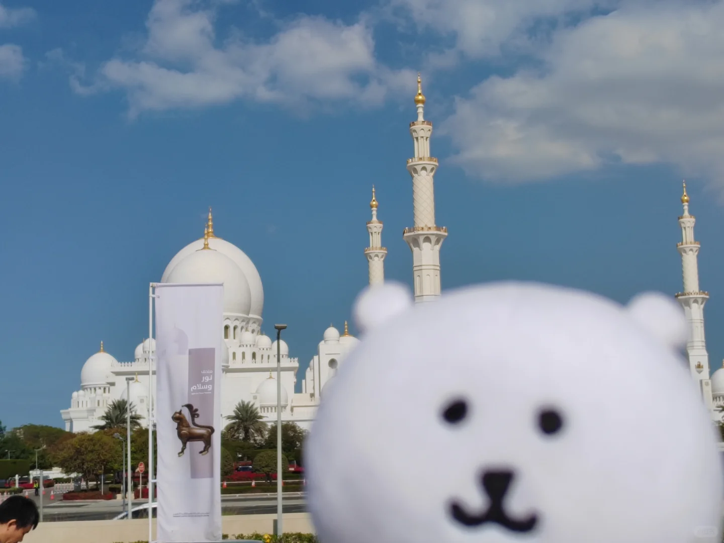 熊，在清真寺被遣返