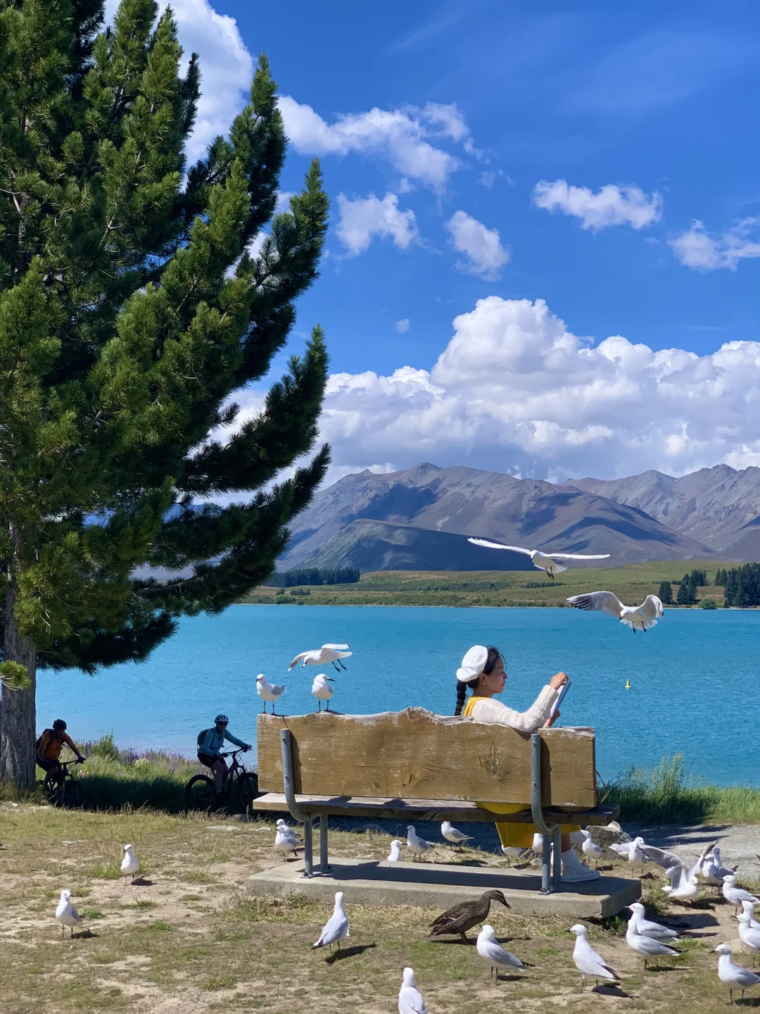 被新西兰治愈过的瞬间～这才是live图的意义