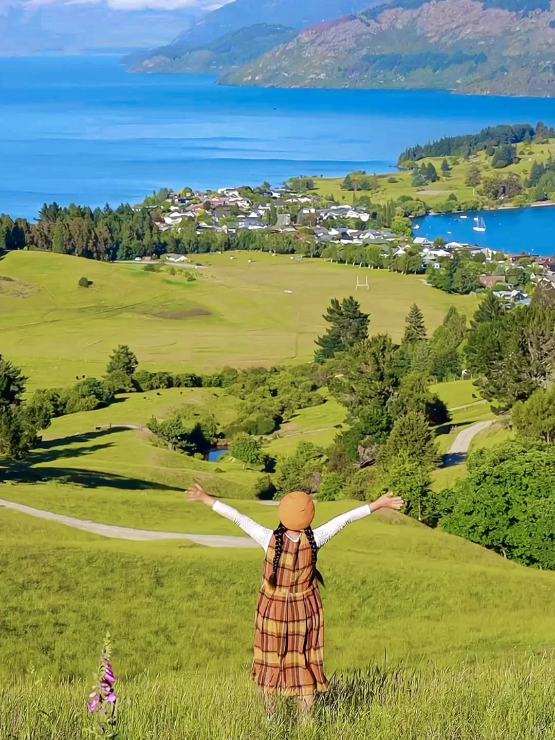被新西兰治愈过的瞬间～这才是live图的意义