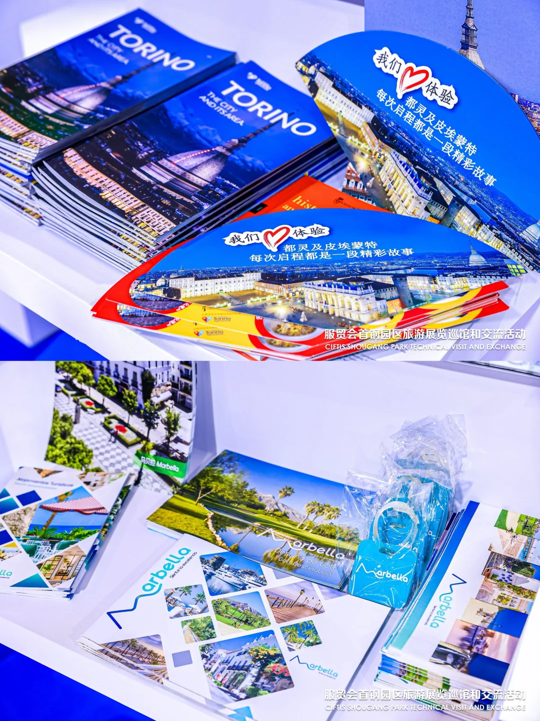 项目系列活动分享 | 服贸会与交流活动