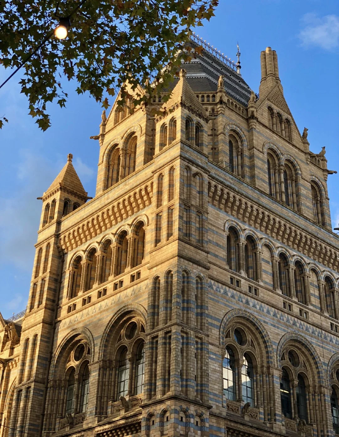 2025英国展览会，等你来探索‼️