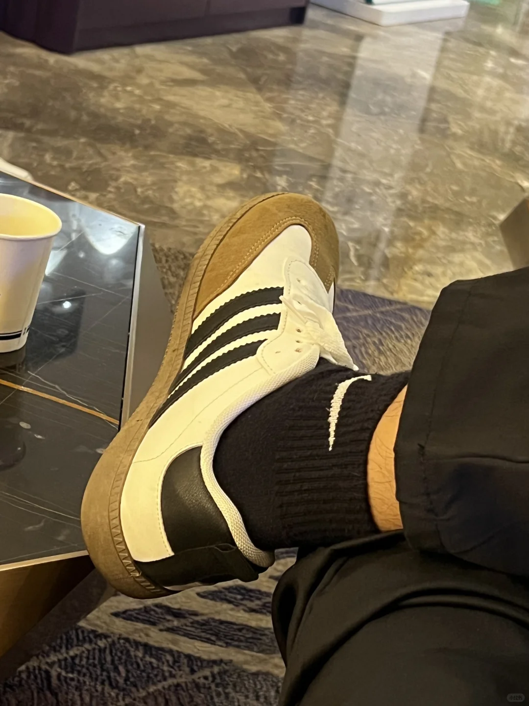 在东博会偶遇了明星?