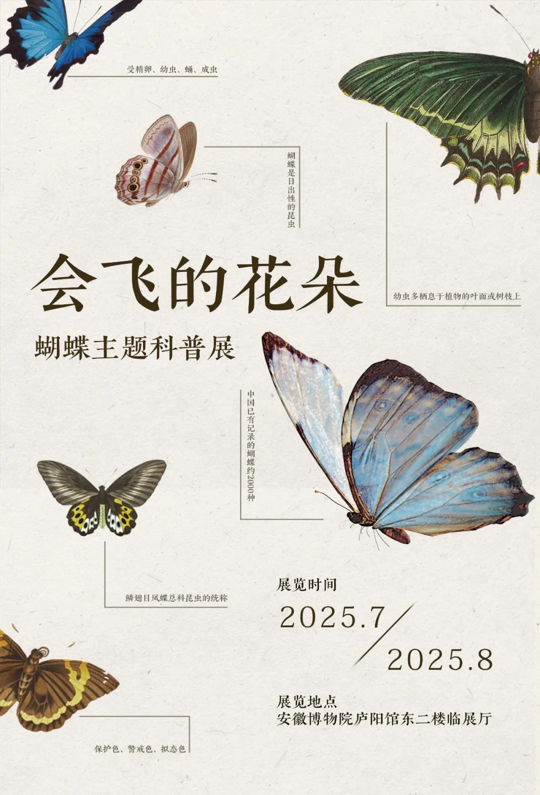 官方?️安徽博物院2025展览计划出炉✨