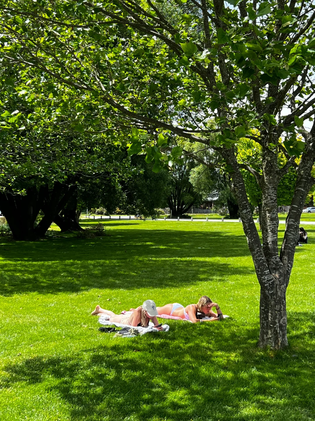 被新西兰治愈过的瞬间～这才是live图的意义