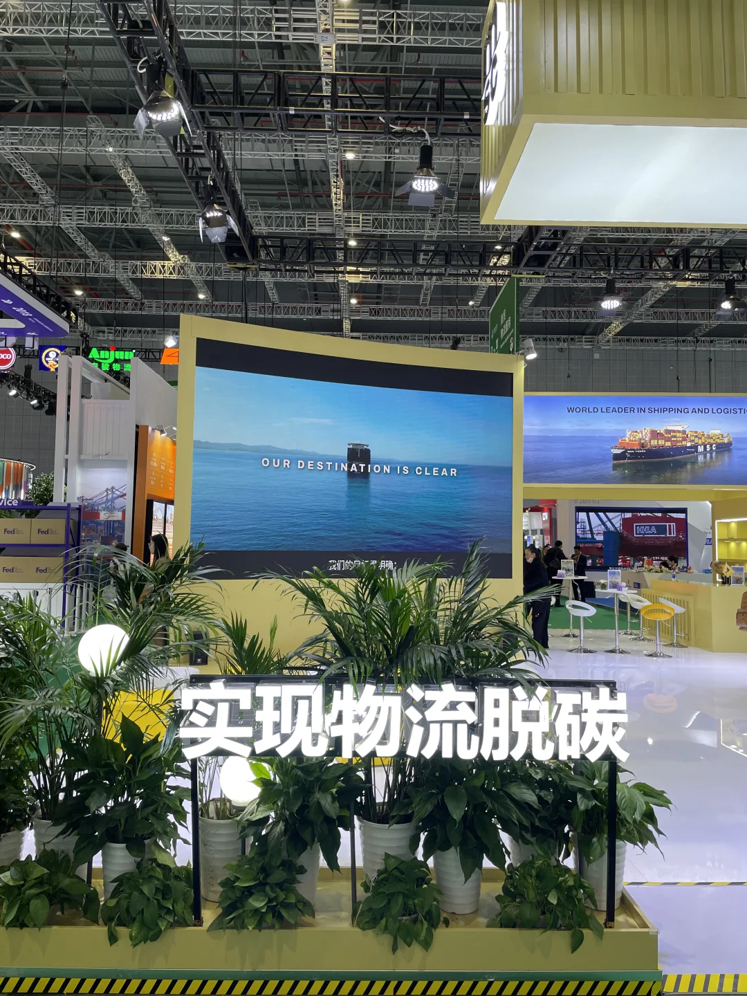 2024进博会真的绿爆啦