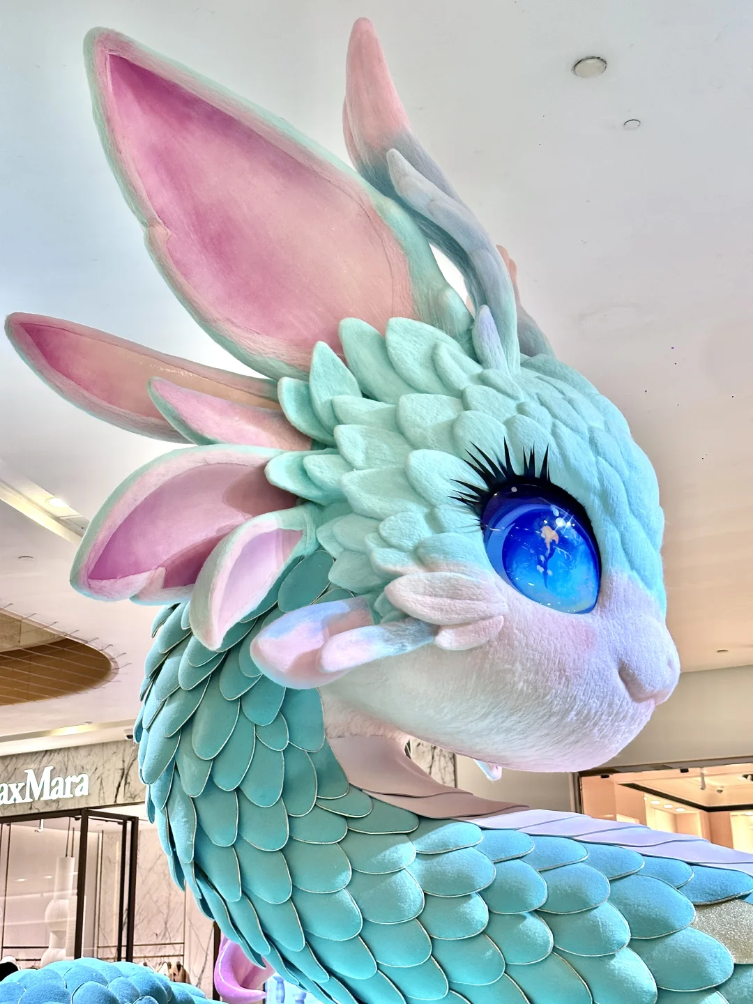 1.5实拍?南京蛇宝宝?放在全国都没对手。。。