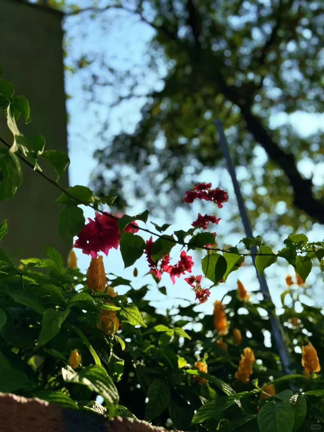 2025年德国杜塞尔多夫国际医院设备展览会