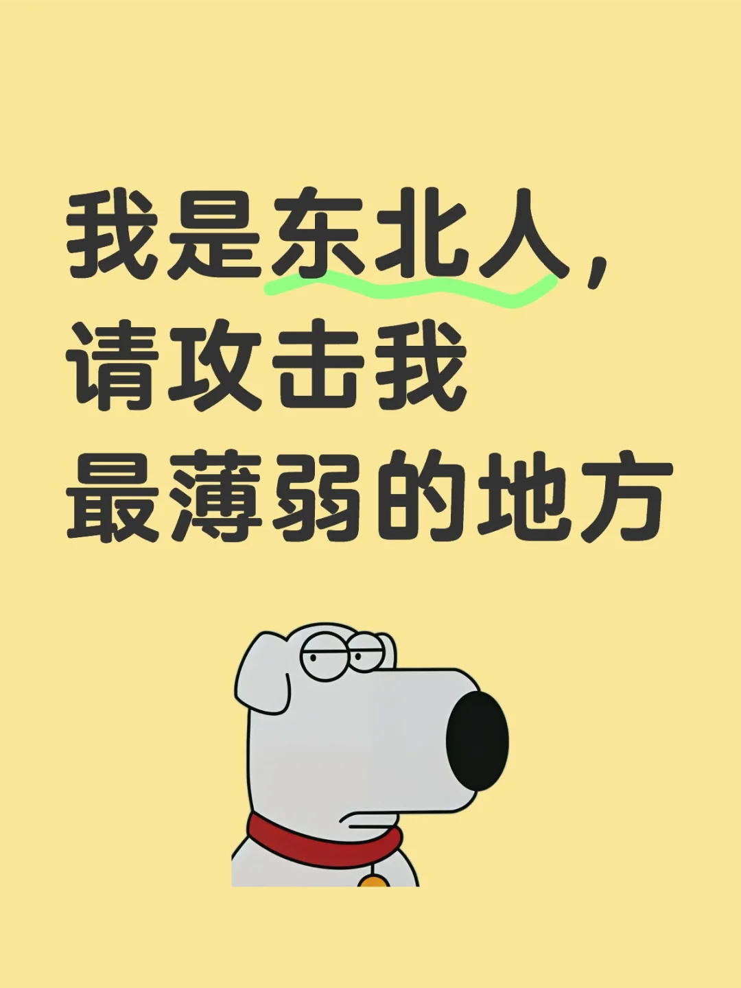 我是东北人，请攻击我最薄弱的地方