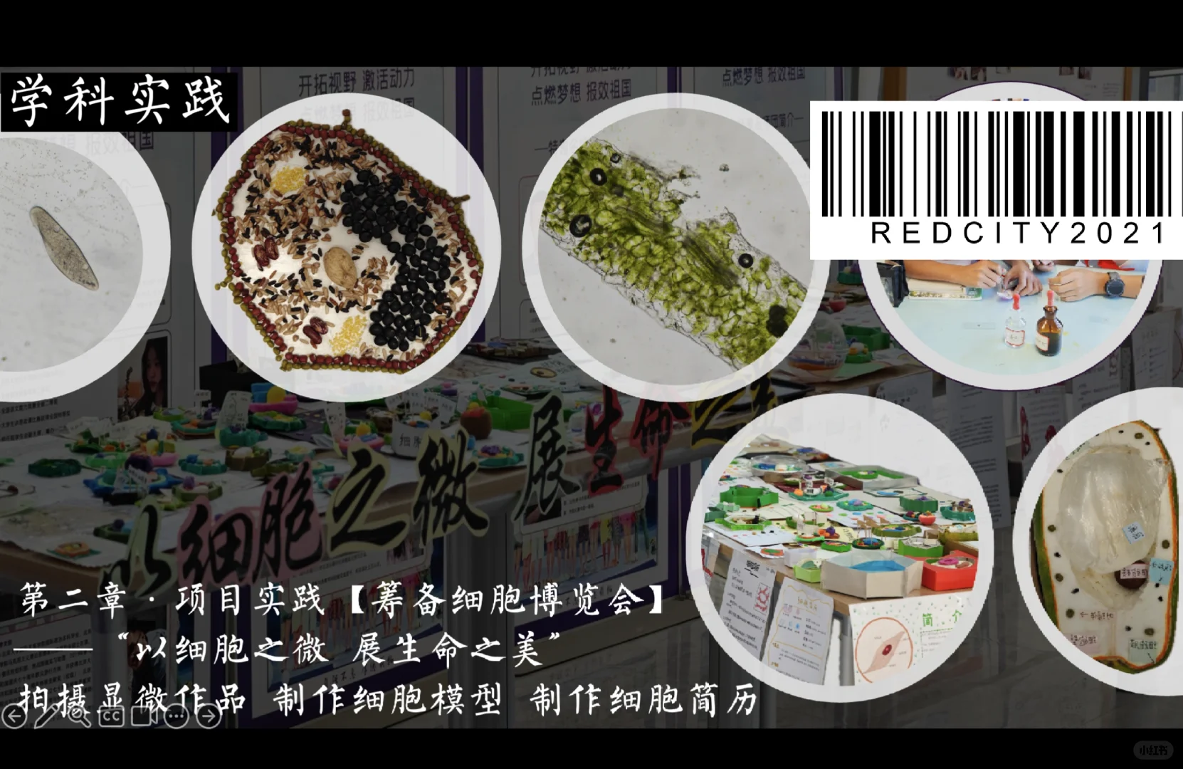 北京版yyds | 新教材说课分享