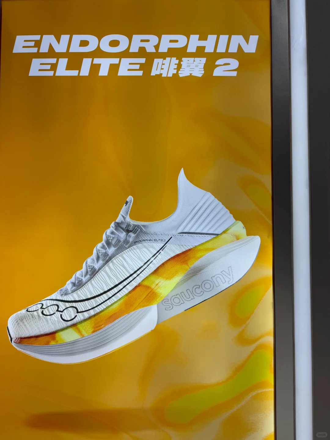 厦门马拉松博览会?