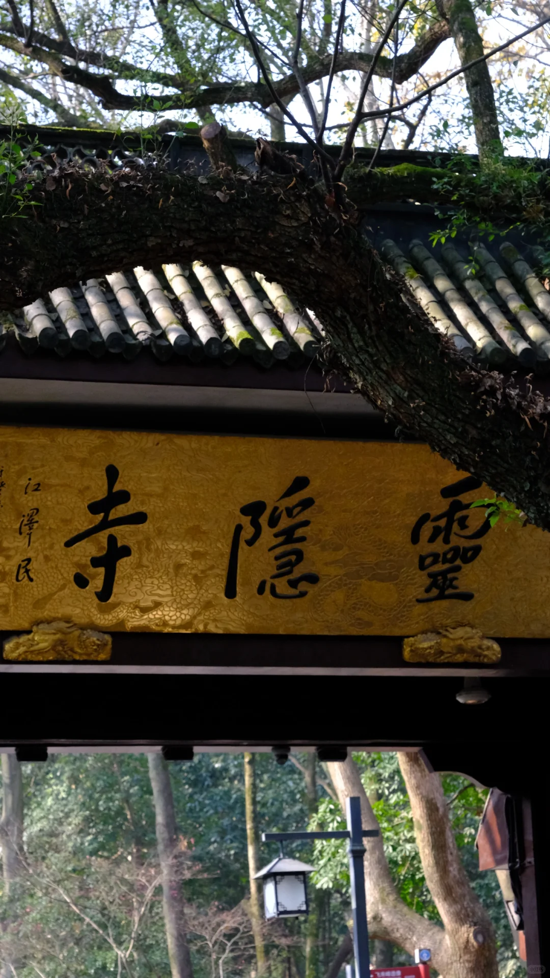 藏在杭州寺庙里的球星卡卡展