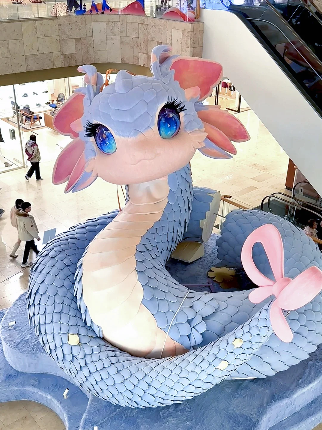 1.5实拍?南京蛇宝宝?放在全国都没对手。。。