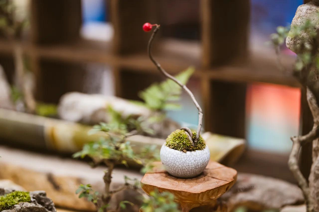 浙江非遗博览会day2