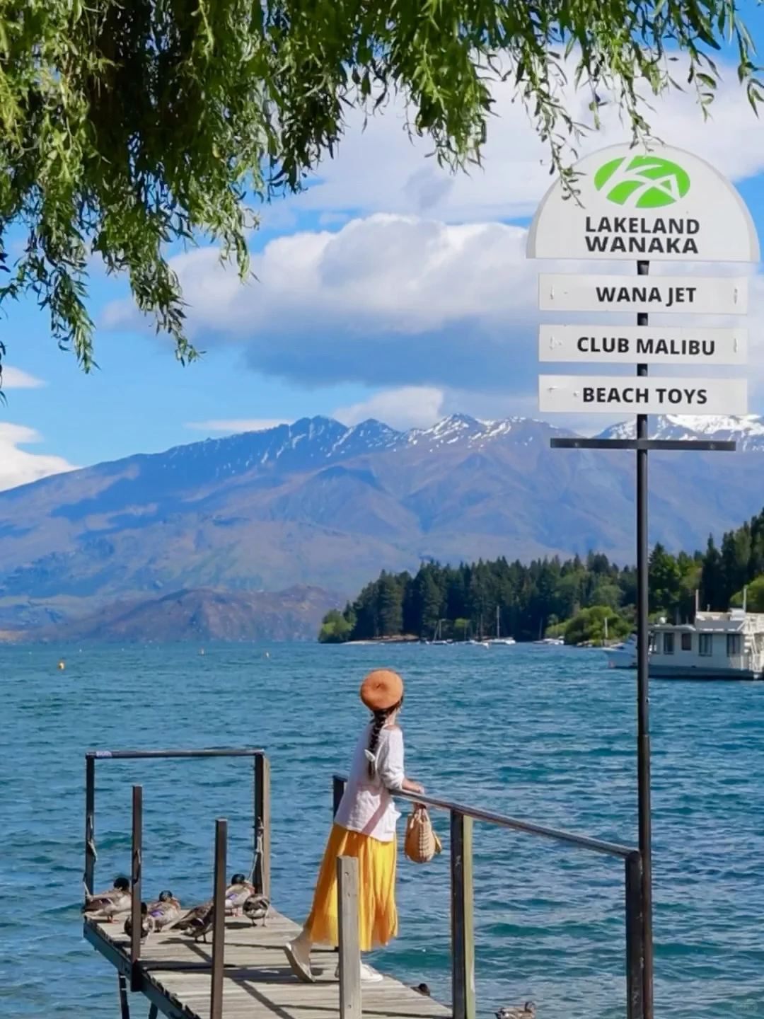 被新西兰治愈过的瞬间～这才是live图的意义