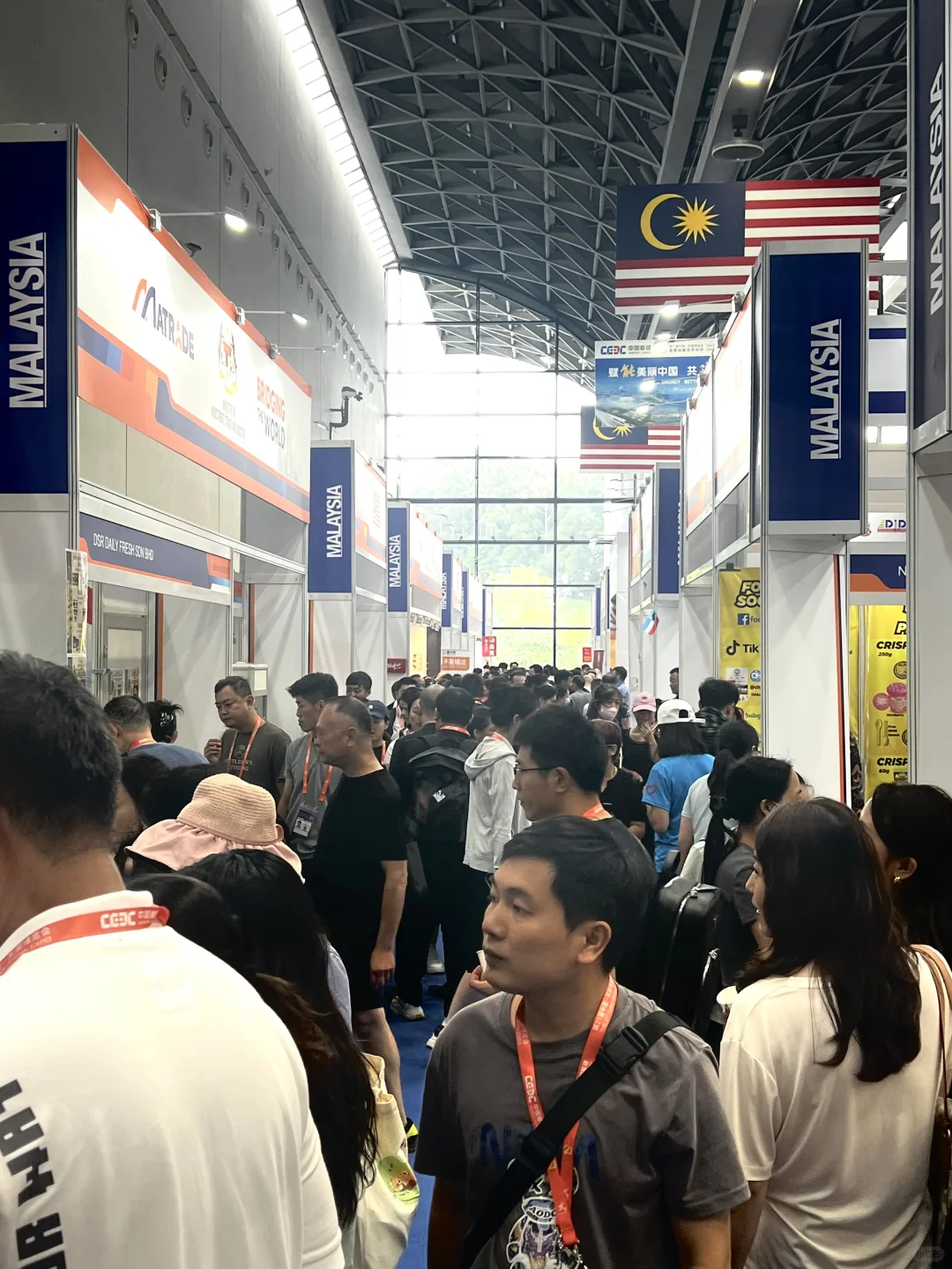 在东博会偶遇了明星?