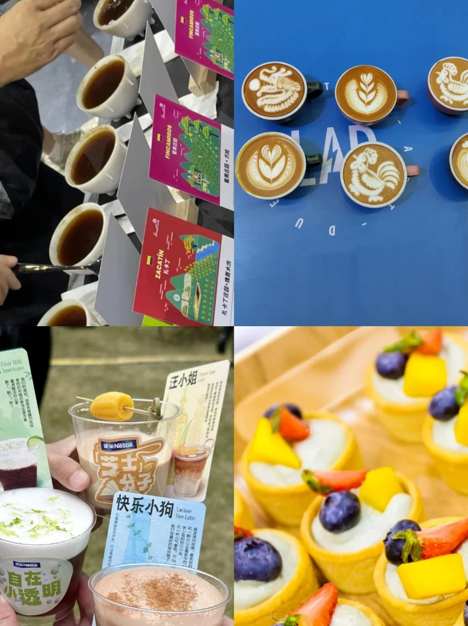 上海11月太好吃了吧?食品展&巧克力咖啡