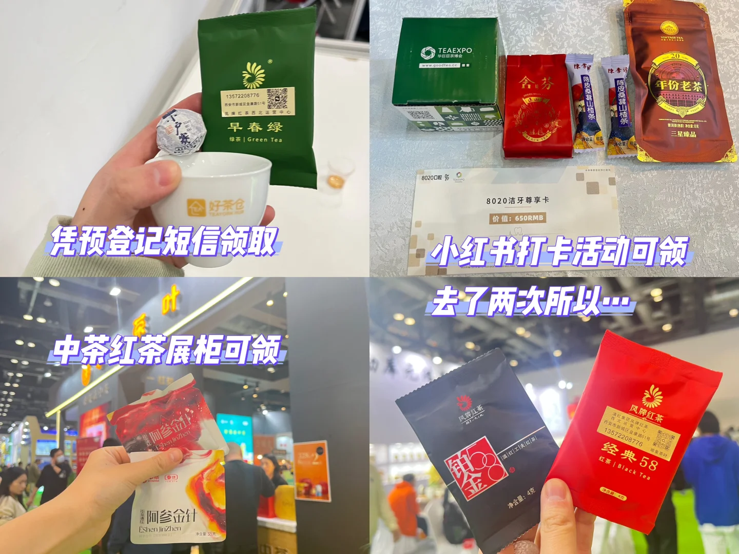 2024 华巨臣北京茶博会