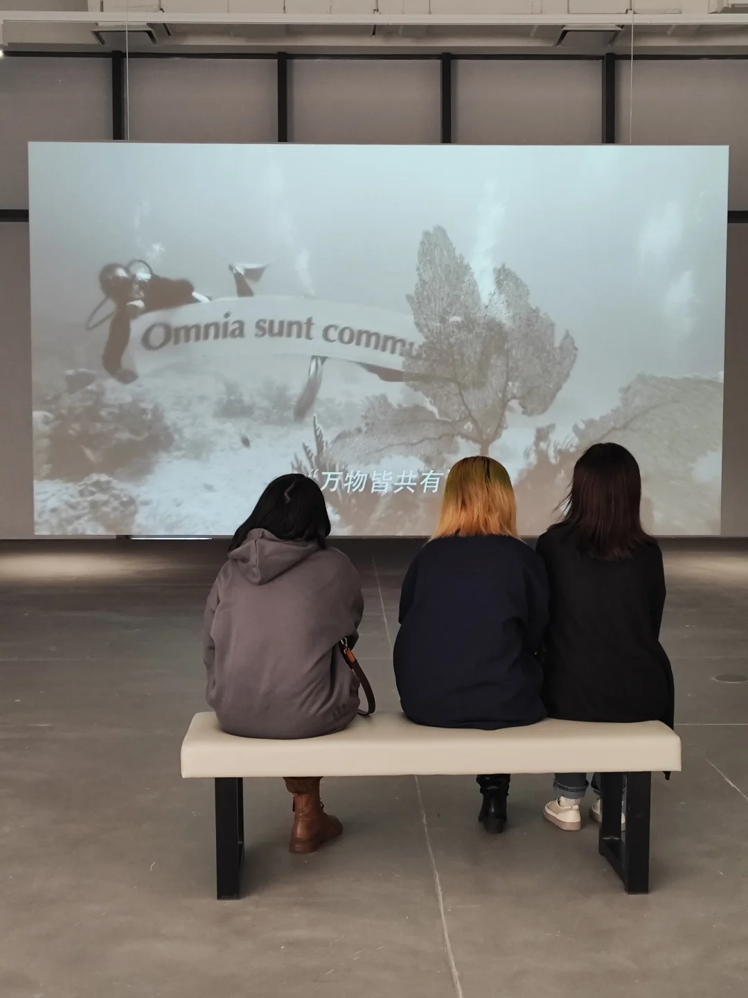 iag艺术院线｜2024 Cc基金会年度展览项目