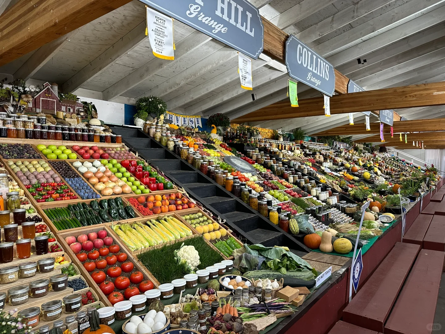 星露谷诚不欺我