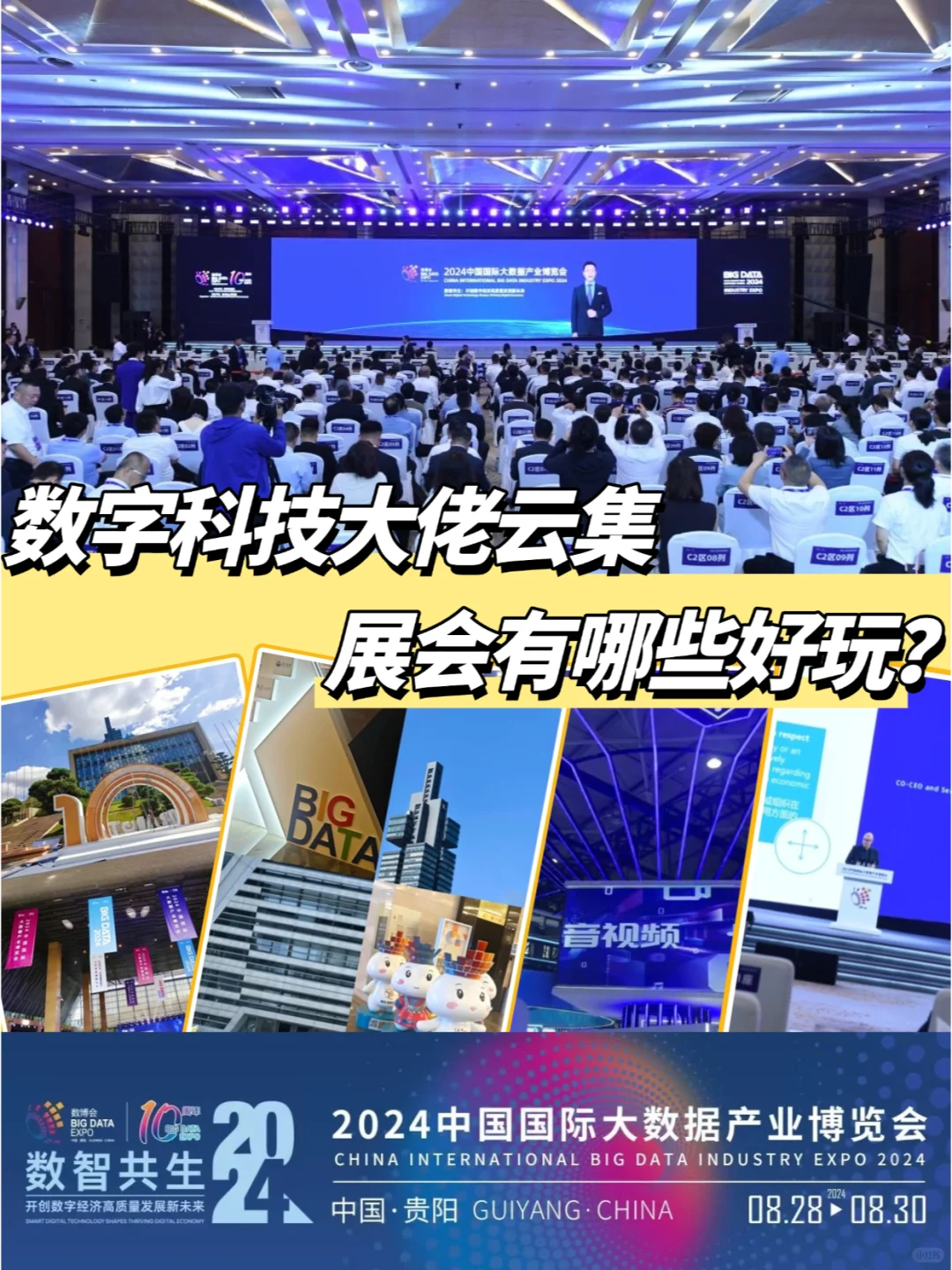 24年数博会怎么逛，看这篇就对了！！！