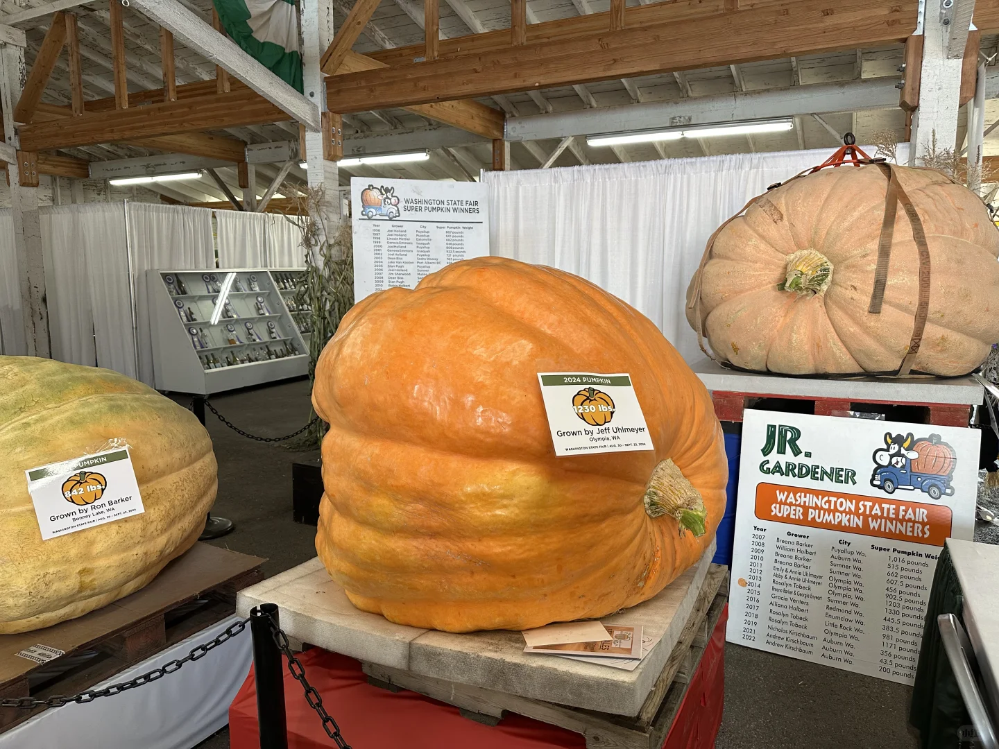 星露谷诚不欺我